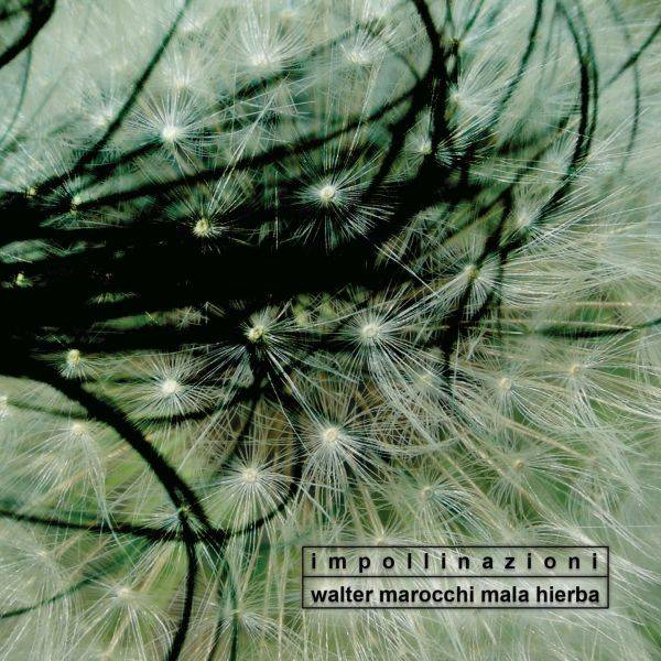 Walter Marocchi Mala Hierba  ’Impollinazioni’